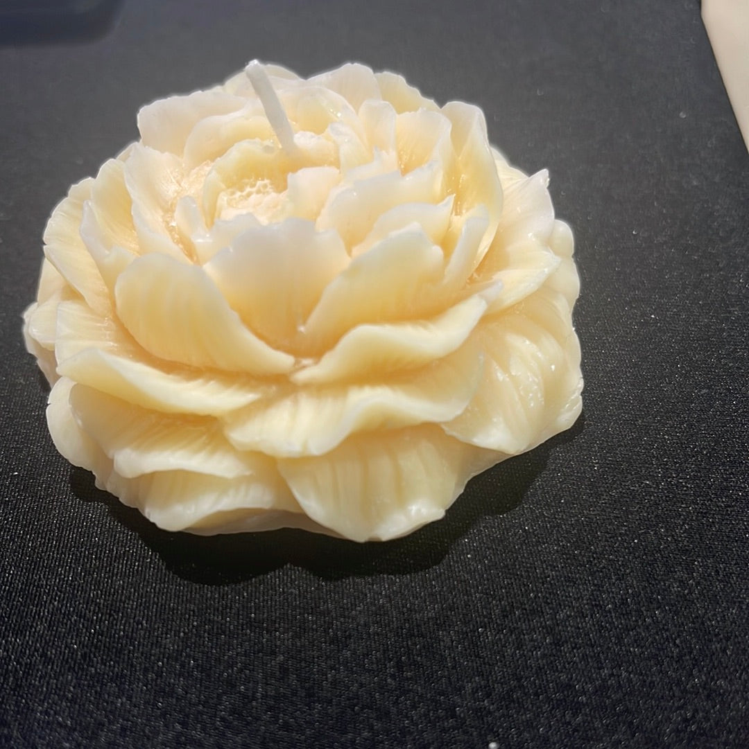 Sip Shop Eat Scented Peony