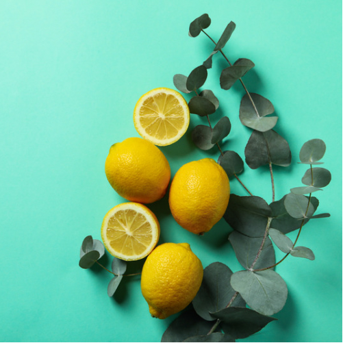Barnes Bay (Lemon & Eucalyptus)