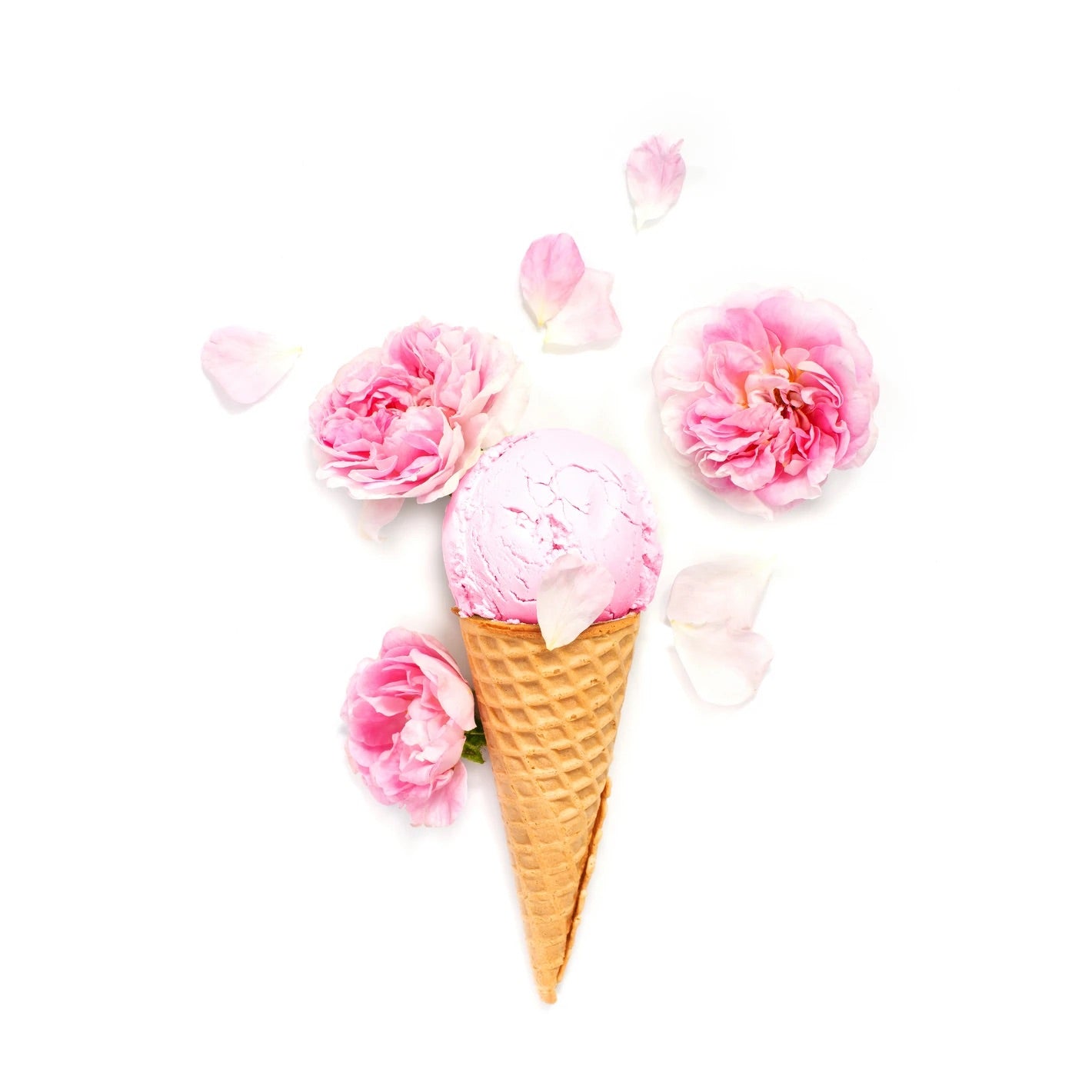 Amani-y Beach (Rose Gelato)
