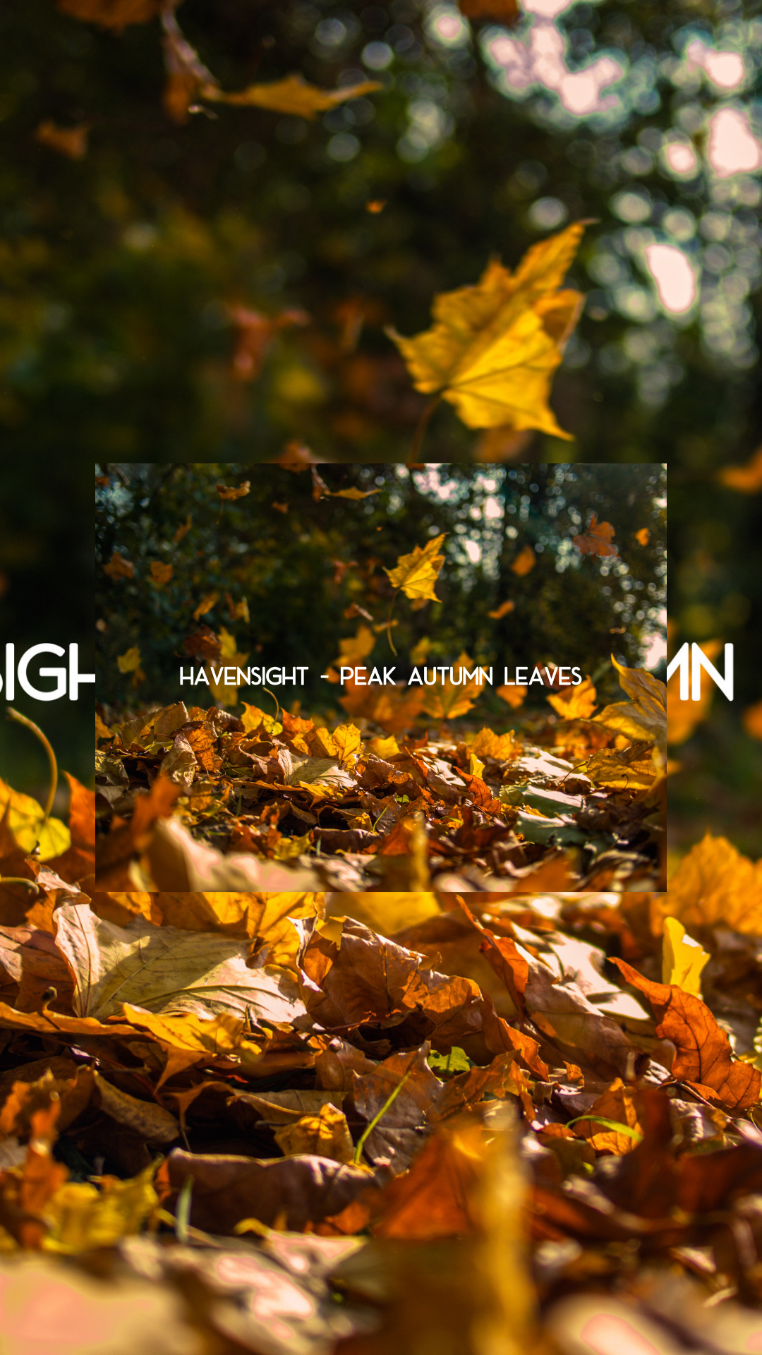 Equinox - Amber