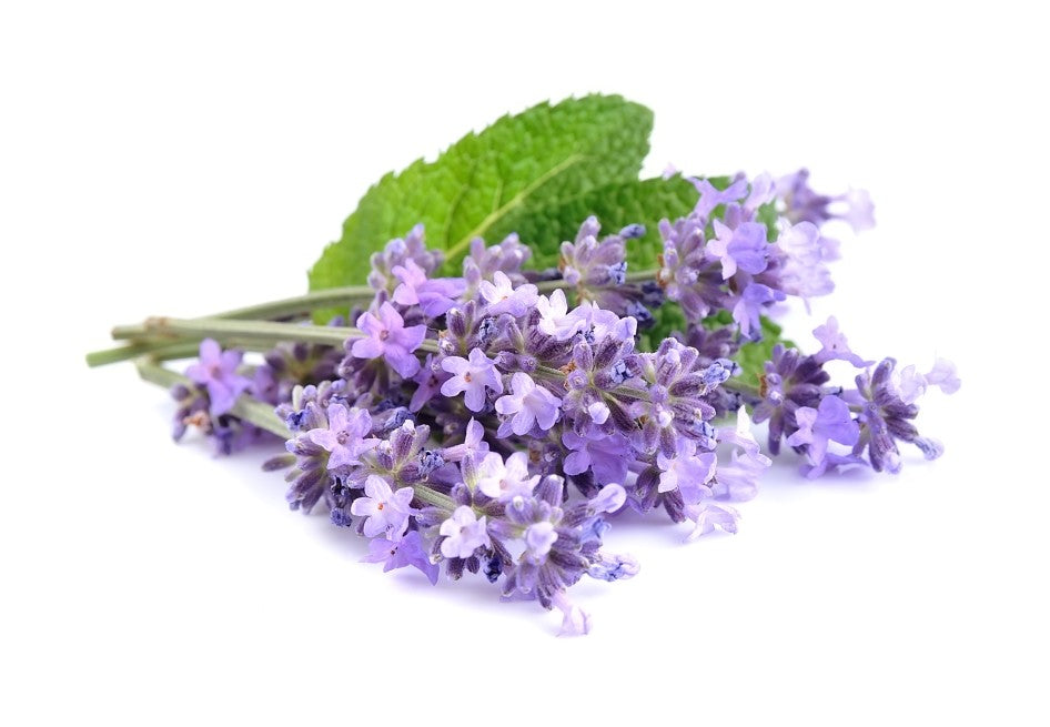 Charlotte Amalie (Lavender & Mint)